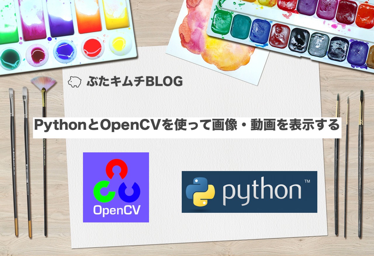 Pythonとopencvを使って画像 動画を表示する ぶたキムチblog